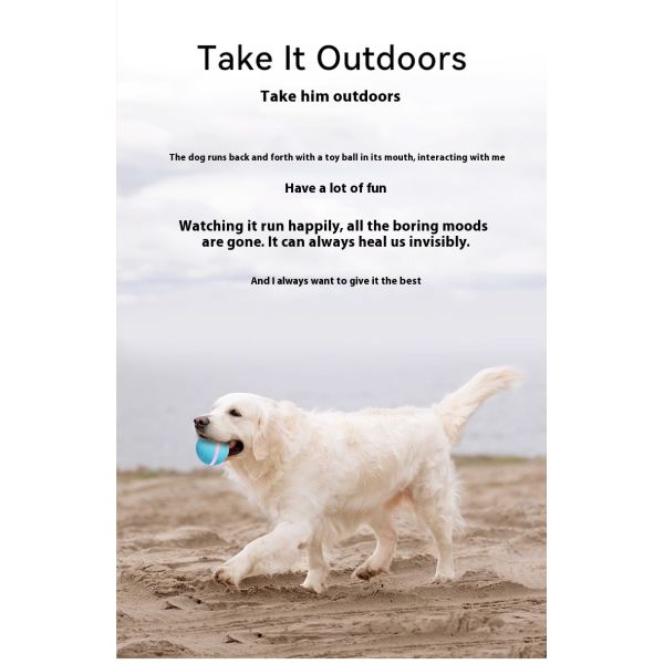 2025 Rechargeable Eco-Friendly Silicone LED Flash Light Cute Automatic Rolling Ball Motion Activated Interactive Movement Toy