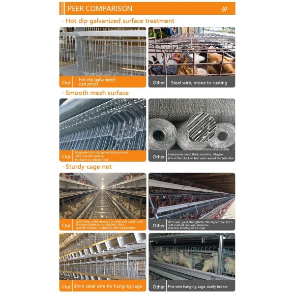 Galvanized Light Steel Frames Broiler Chicken House with Low Maintenance Required and Modular/Panelized Installation Poultry Farming Equipment