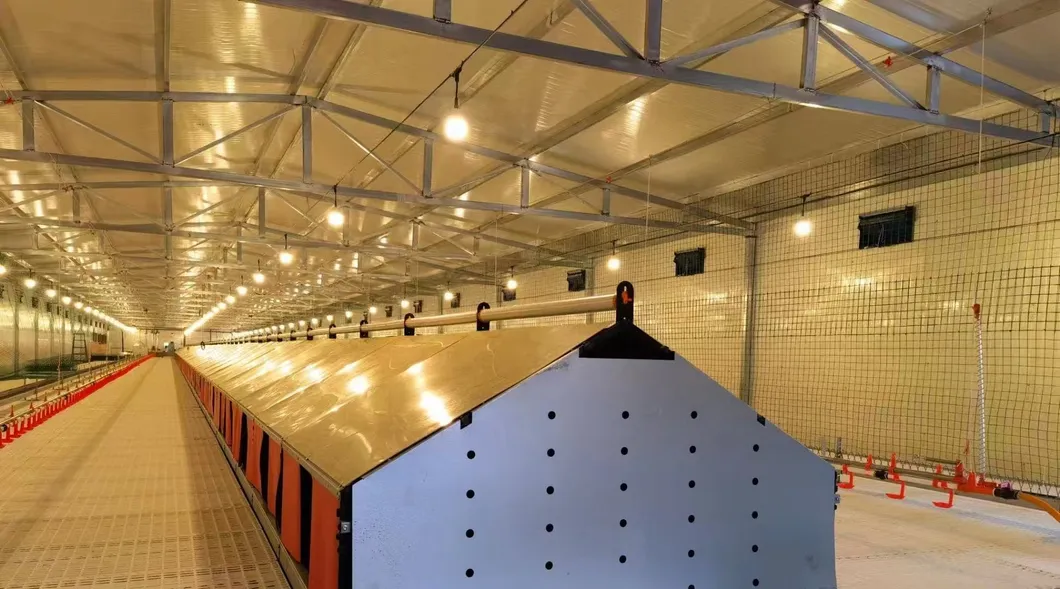 Poultry Farming Automatic Egg Nesting Box Labor Saving For Floor Raised Layers