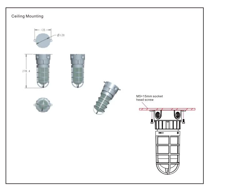 LED Explosion Proof Light Atex Certified IK10 Durable Robust Dustproof Gasoline Harsh Environment Mining Tunnel