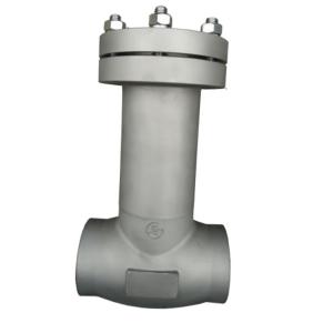 China CDH61F-40PB Stainless Steel 304 Cryogenic Check Valve on sale