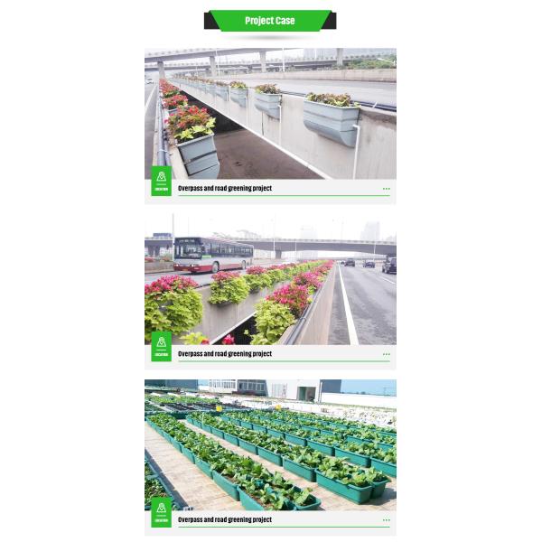 Outdoor Planting Made Hassle-Free with Self Watering Rectangular Extra Large Pot