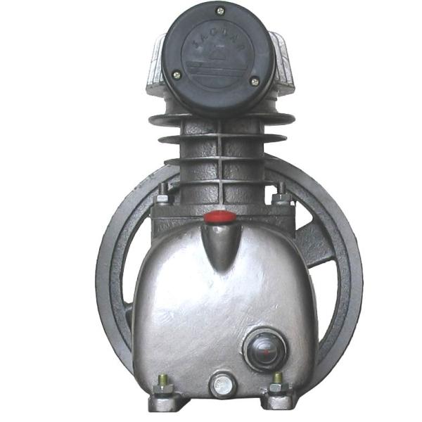 JAGUAR Mini Bare Pump The Ultimate Solution for Industrial Air Compressor Upgrades