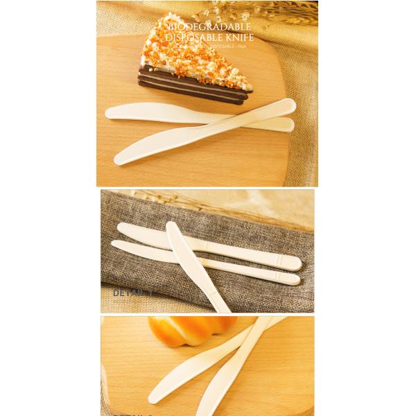 2019 new arrival high quality disposable biodegradable cake knife