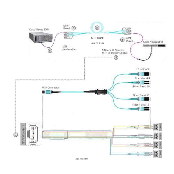 8 Core OM3 Multimode MPO MTP Cable with Female Polarity B for High-Speed Data Transmission