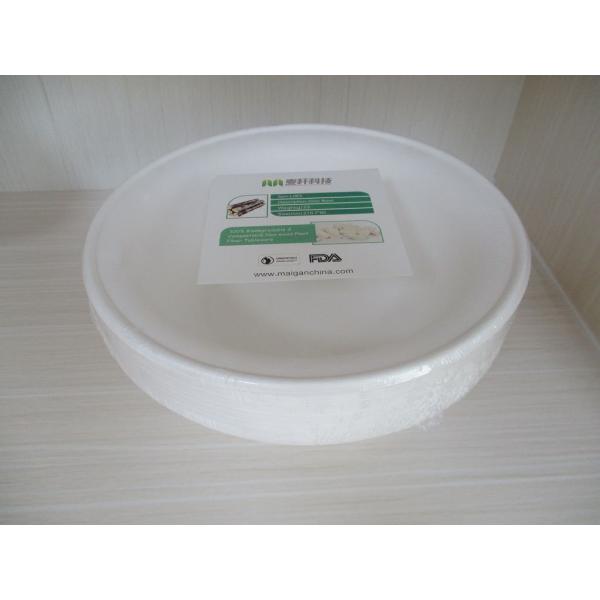 wholesale biodegradable sugarcane tableware disposable bagasse compostable paper 10 inch plates manufacturer