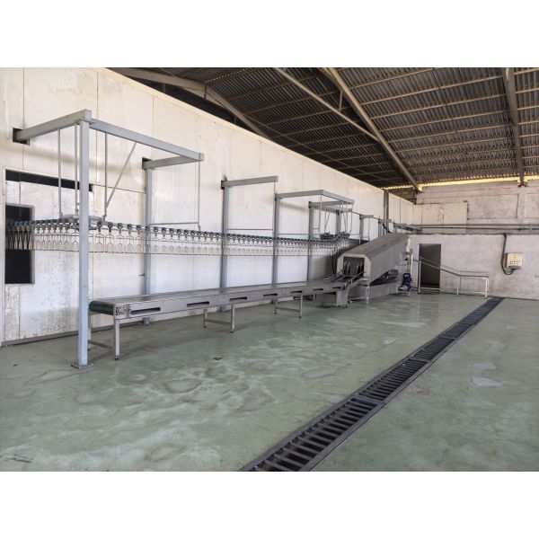 High Efficiency Halal Chicken Slaughtering Equipment Turnkey Poultry Processing Line for 1000 Birds Per Hour