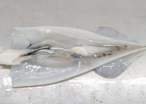 Quality Iso22000 Frozen Illex Squid 18cm - 25cm Size 10kg Bill Of Loading for sale