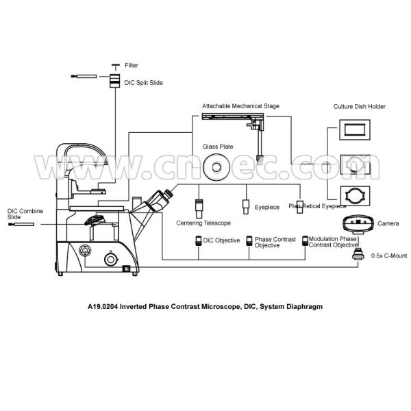 Trinocular Inverted DIC Phase Contrast Microscope A19.0204 100x - 400x