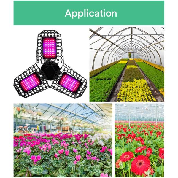 Foldable E27 E26 8000lm LED Grow Light For Seedlings Flower Hydroponic