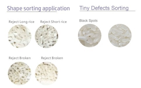 Deep Learning Mini Color Sorter 6 Chute Rice Colour Sorter 220V