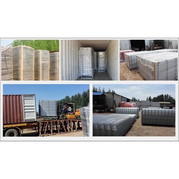 2.2m 30*60mm Galvanized Metal Livestock Panels