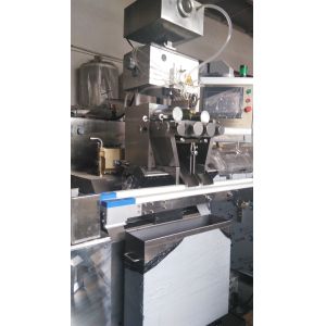 Quality Compact Automatic Capsule Filling Machine / Softgel Encapsulation machine S406 for sale