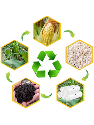 Biodegradable disposable compostable plastic bag and corn starch bag, Eco friendly biodegradable compostable plastic bag