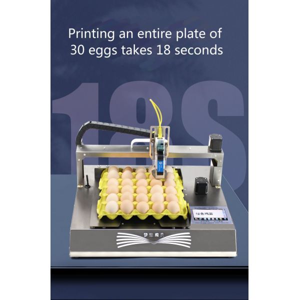 Ink Type Eco Solvent Ink Industry Smart Automatic Egg Date Stamp Printing Machine