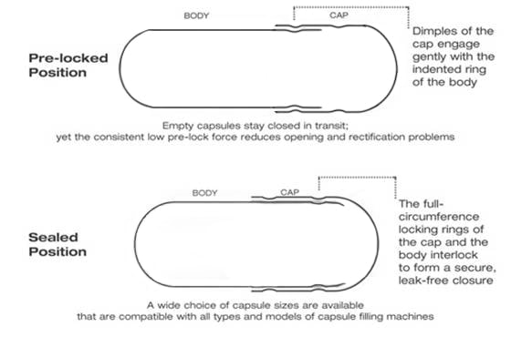 Hard Gelatin Size 00 Joined Empty Vegetable Capsules