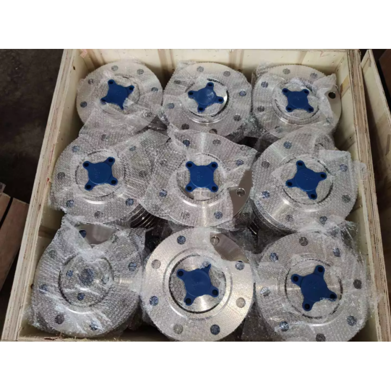 Custom DIN2576 Pn40 St37.2 Pl Ss Flanges ISO Standard Super Duplex Stainless Steel Flange Alloy Metal Flange