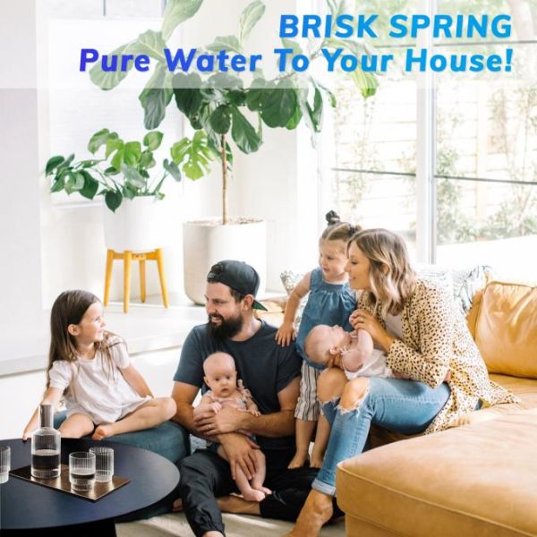 Automatic Backwash Pre Filter Intelligent Sediment Filter, High Flow Prefilter for Villa, Apartment & Household Water Entry