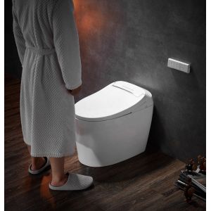 Advanced Function Automatic Deodorization Toilet Integrated Multi-Function