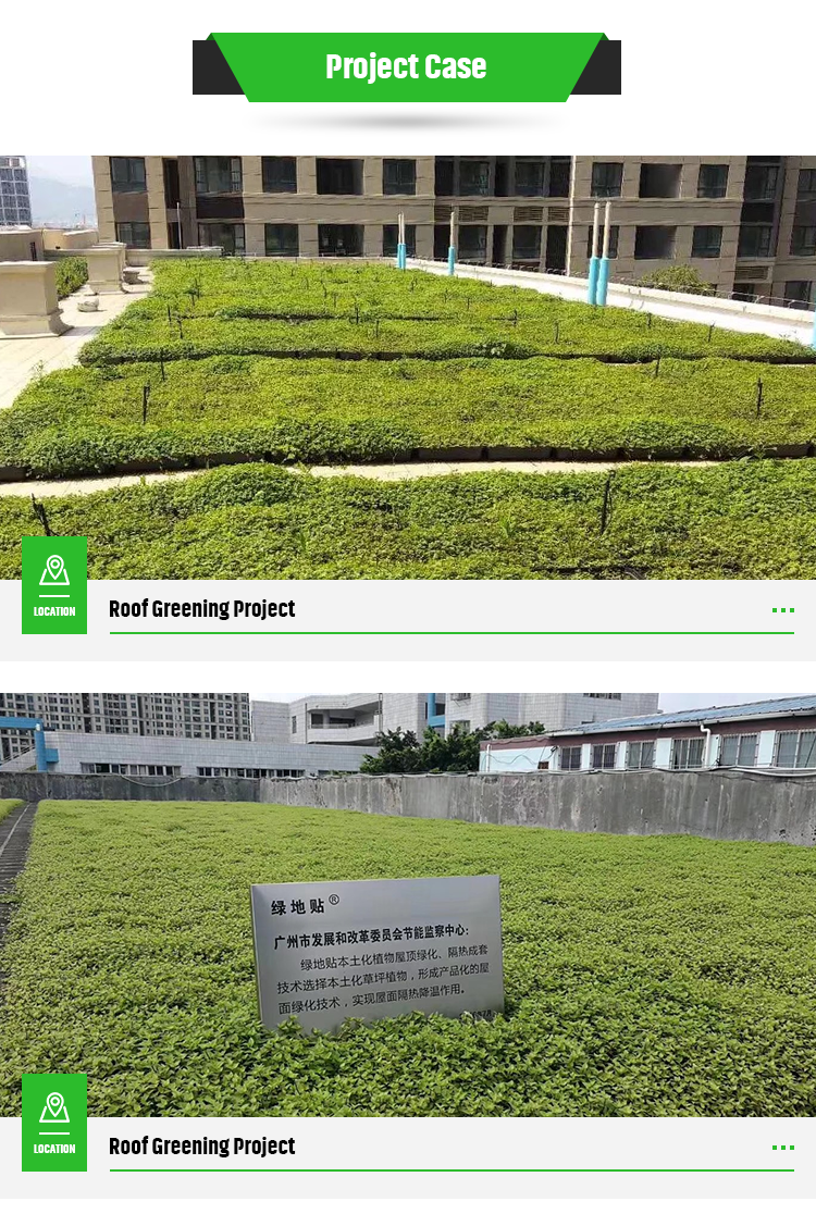 Square Shape Green Roof Modules PP Plastic Material Garden Easy Installation Planting Tray