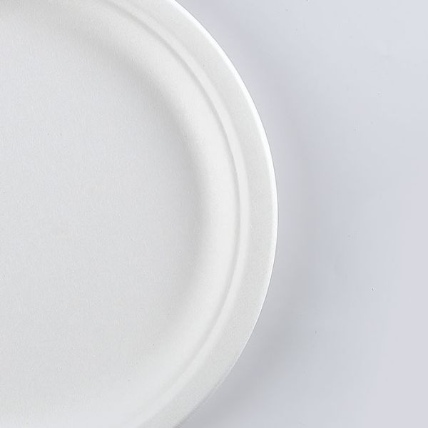 wholesale biodegradable sugarcane tableware disposable bagasse compostable paper 10 inch plates manufacturer
