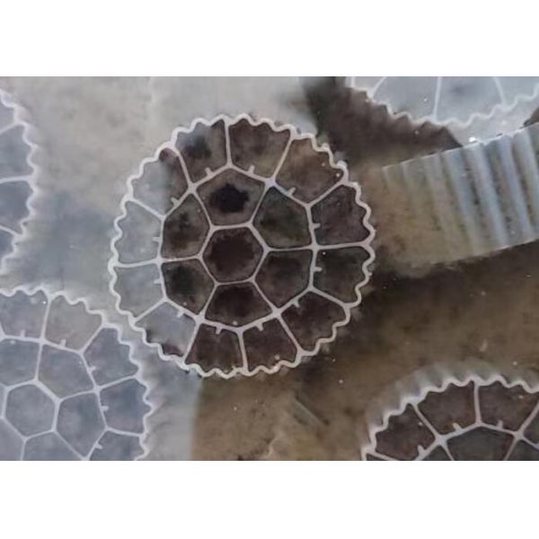 25*5MM UV Resistant BIO Filter Media Flower Shape Plastic Biocell