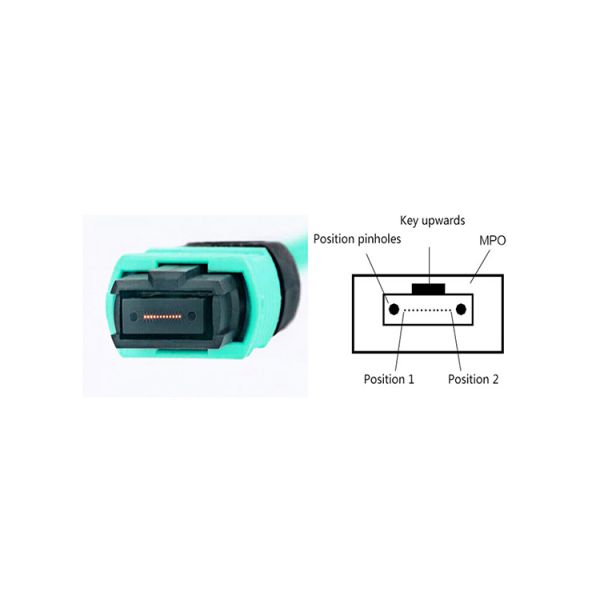 MPO MTP Optical Fiber Trunk Cable 24 12 Core 50 125 Patch Cord