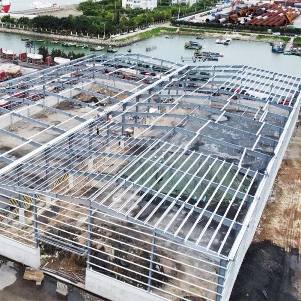 Fast Build Steel Structure Workshop Warehouse for Quick Construction