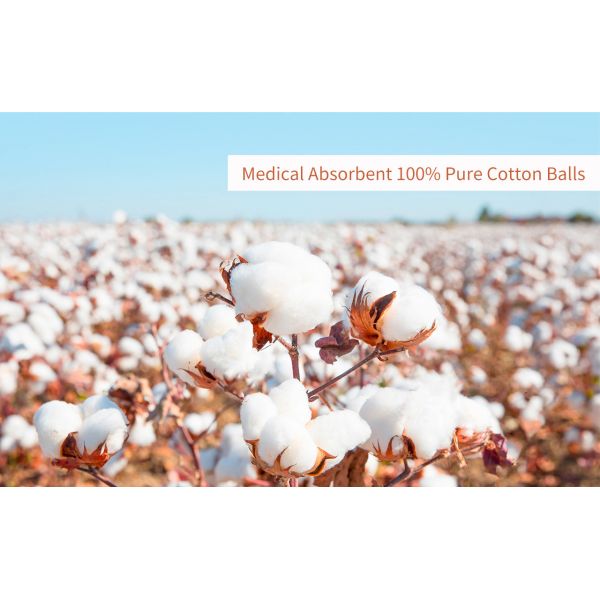 Soft Touch and Compressed Hydrophilic Customized Cotton Balls