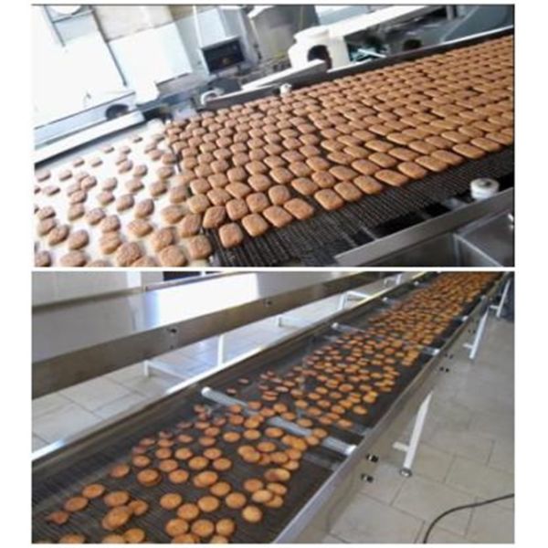 Biscuit production line