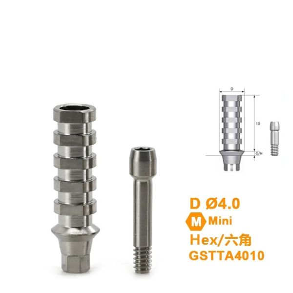 Osstem GS(TS)® HIossen® Titanium Temporary Abutment Compatible with Mini / Regular (Engaging & Non-Engaging)