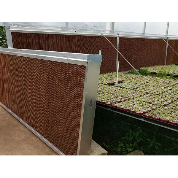 Outdoor New Material Cooling System for Chicken House High Absorbablity Evaporative Cooling Pads