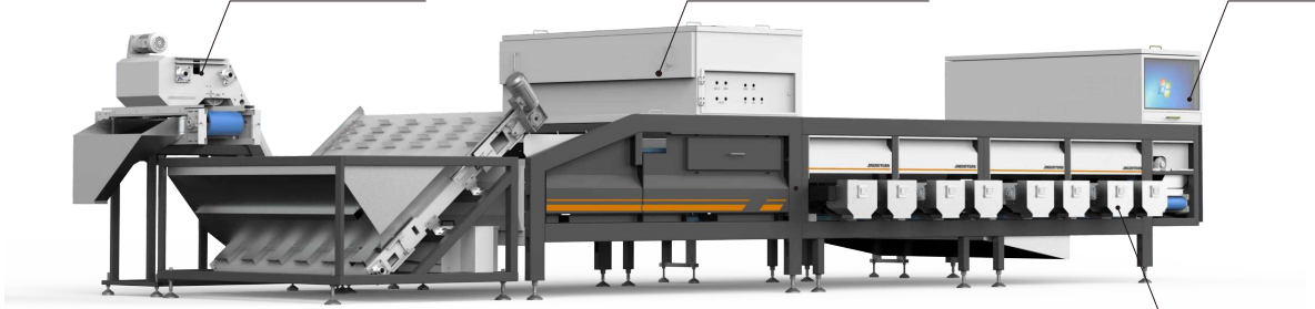 Electric Intelligent Chestnut Sorting Machine 380V Nuts Grading Machine
