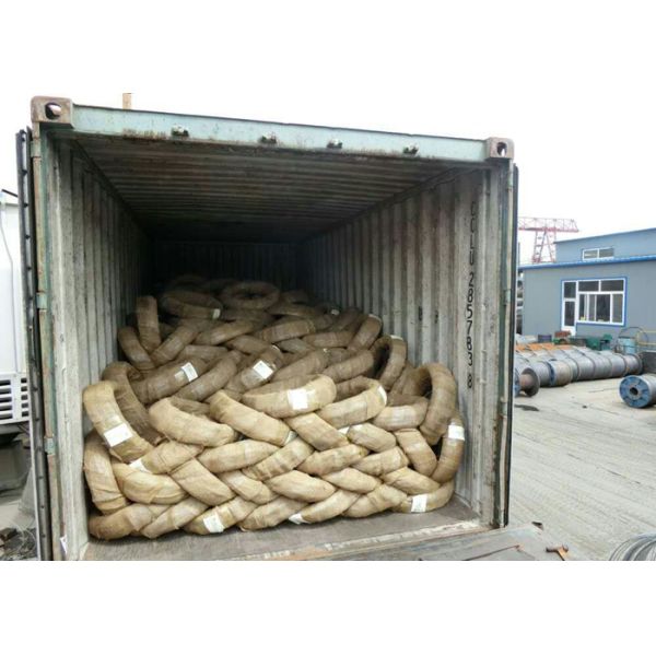 Zinc Coating Electric Galvanized Iron Wire / Loop Type Galvanized Binding Wire
