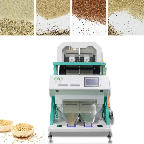 Intelligent Pet Flake and PVC Plastic Separating Colour Sorting Machine Color Sorter Machine