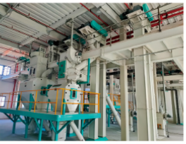 Flap Belt Bucket Elevator 10t/H With Customizable Feeding Interface