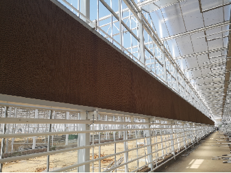 Customization Automated Light Dep Greenhouse Large Size 3 Layers