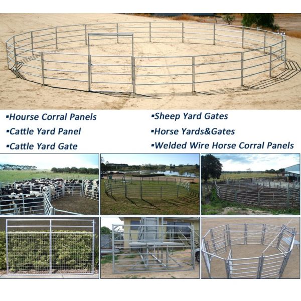 Cattle Fencing Panels 1.8m x2.1m
