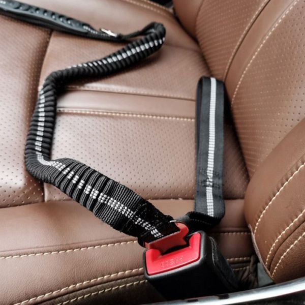 Telescopic Dog Traction Rope Reflective Buffer Black