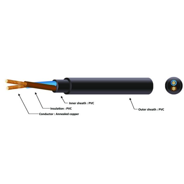 300/500 V Two Cores Electrical Wire , Copper Conductor Electrical Cable