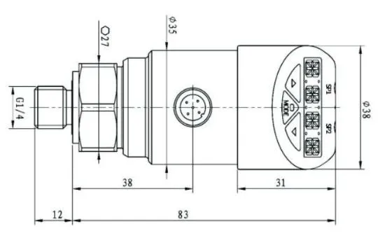 Dual Relay & 4-20mA Output Pressure Switch with G1/4 Thread Pressure Controller