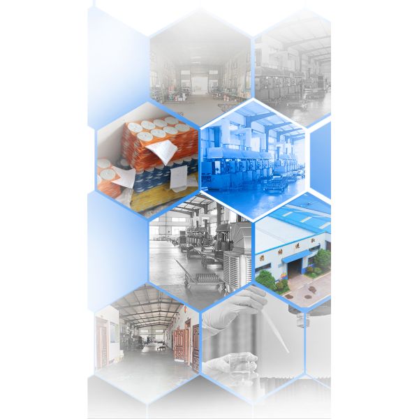 OBM Supported 5inch Diamond Polishing Disc for Stone Slabs Cutting Type For Polishing