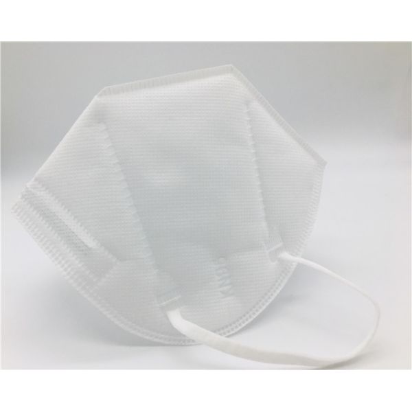Infiltrate Coronavirus Particulate KN95 Earloop Mask