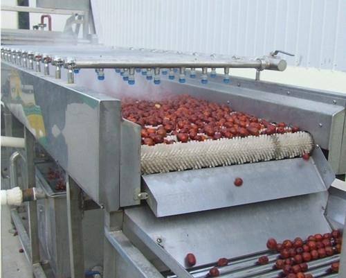 High Pressure Brush Potato Washing Machine , Fruit And Vegetable Cleaner Machine