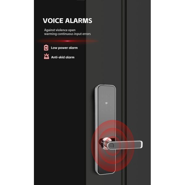Bluetooth Electronic Keypad Door Locks Anti-Theft Keyless Entrance