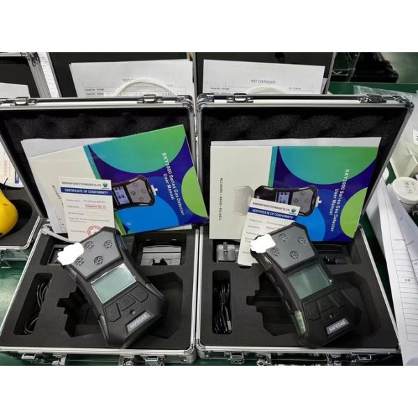 Handheld Gas Detection Instrument With Lcd Color Screen And Wide Viewing Angle