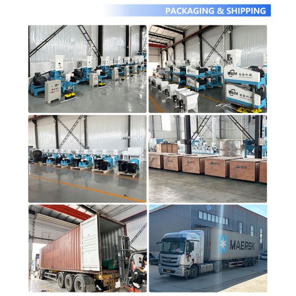 Hot Selling New High Multi-Function Small Floating Fish Feed Extruder Pellet Making Machine fish food production machine for home use 200kg/h 220V