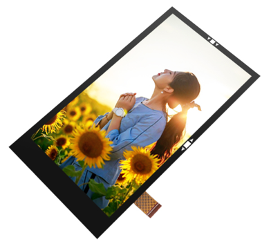 MIPI Lcd Touch Display Module 1080x1920 Pixels 5.5 Inch IPS TFT Screen