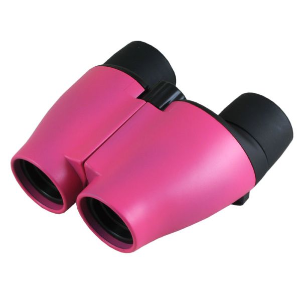 Field Angle 5.5 Degree 10x Compact Folding Binoculars 25mm Obj.Lens