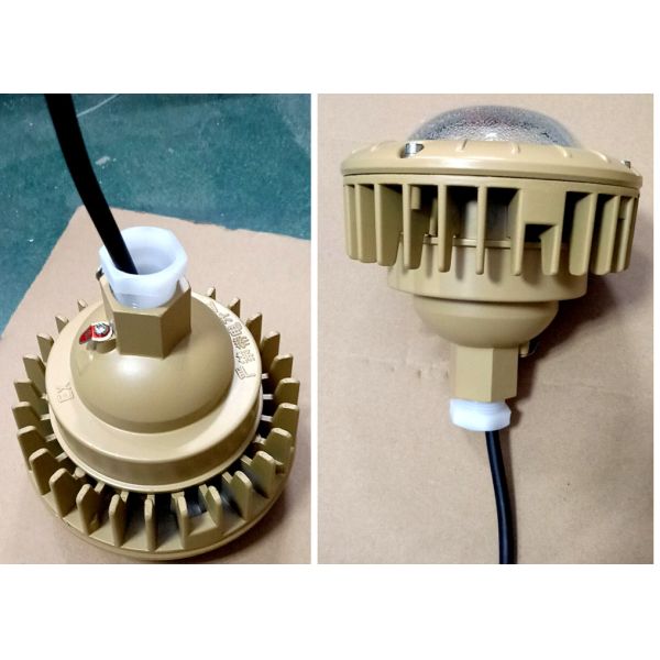 IP65 30 Watts Hazardous Area Explosion Proof LED Light Fixture CE ATEX